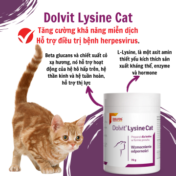 Dolvit Lysine Mèo - Tăng cường khả năng miễn dịch