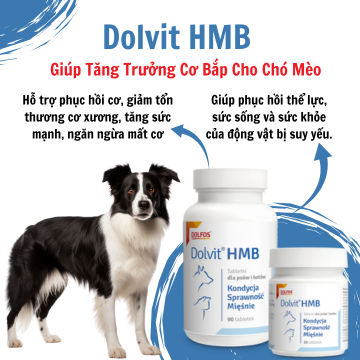 Dolvit HMB -  Hỗ trợ tái tạo cơ và duy trì khối cơ