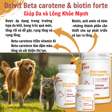 Dolvit Beta carotene & biotin forte - Giúp Da và lông khỏe mạnh