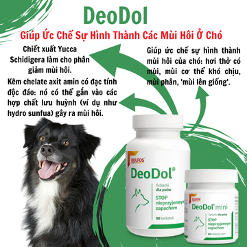 DeoDol - Giúp ức chế sự hình thành mùi hôi của chó