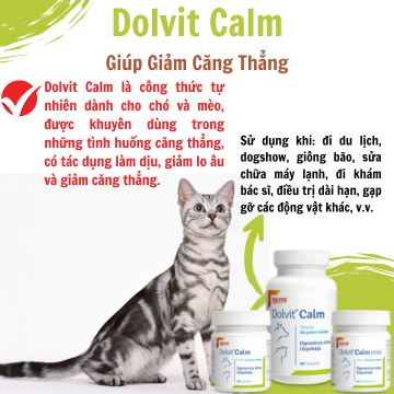 Dolvit Calm 90 tab Làm dịu căng thẳng Chuẩn bị cho chó Mèo bình tĩnh lại