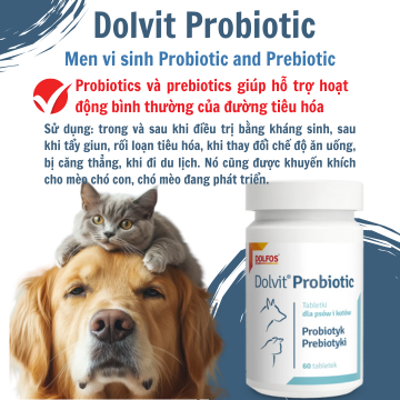 Dolvit Probiotic - Men vi sinh phục hồi hệ vi khuẩn đường ruột tự nhiên