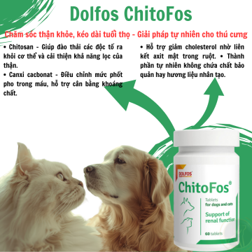 Dolfos ChitoFos 60 viên – Chăm Sóc Sức Khỏe Thận Toàn Diện cho chó mèo