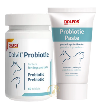 Probiotic Paste - Men vi sinh phục hồi hệ vi khuẩn đường ruột tự nhiên