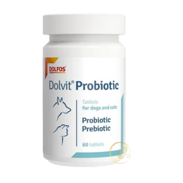Probiotic Paste - Men vi sinh phục hồi hệ vi khuẩn đường ruột tự nhiên